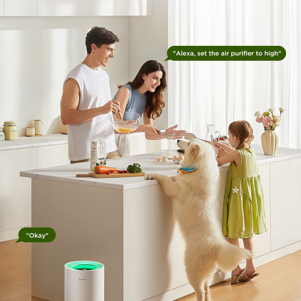 GoveeLife Smart Air Purifier 2 Pro