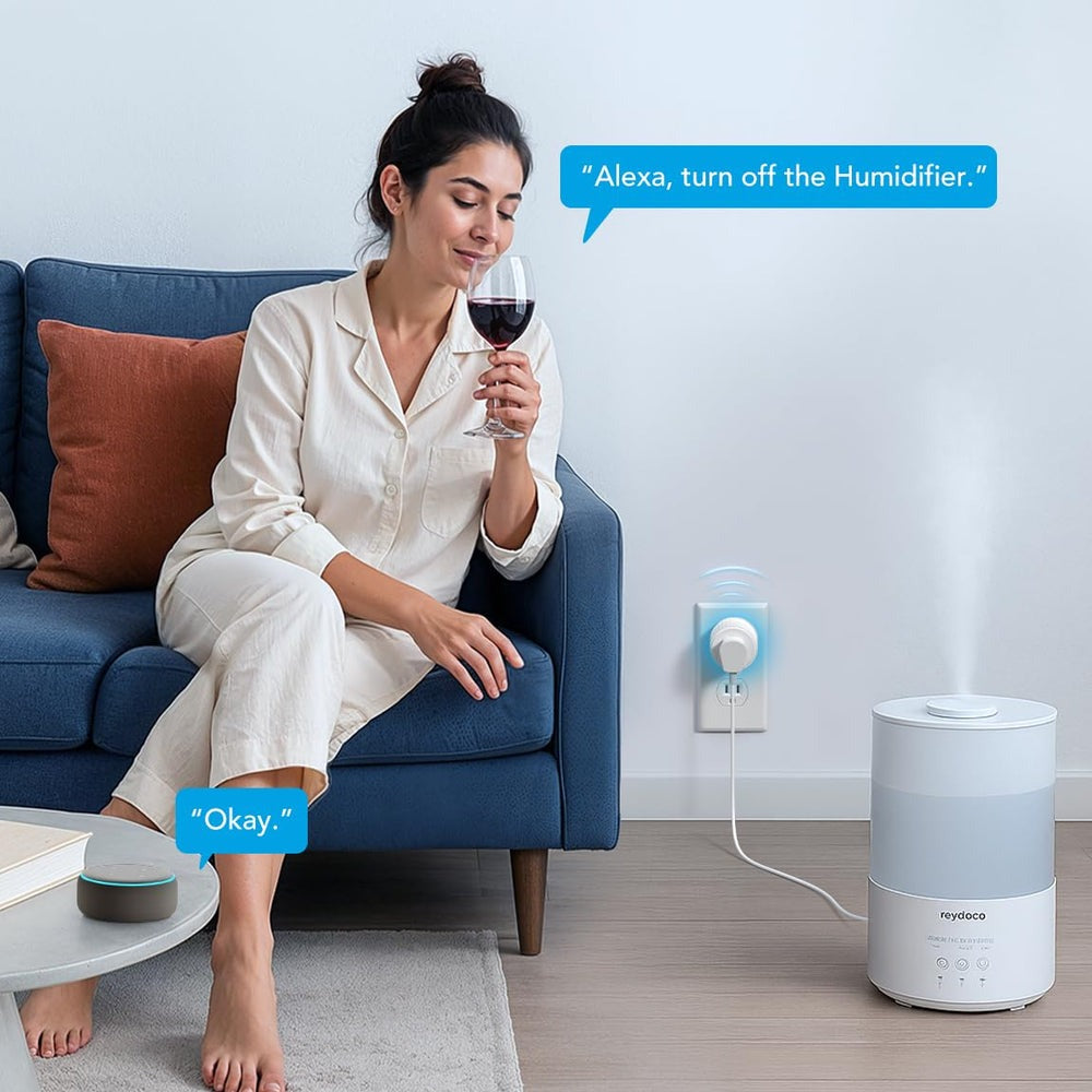 Govee Smart Plug Pro