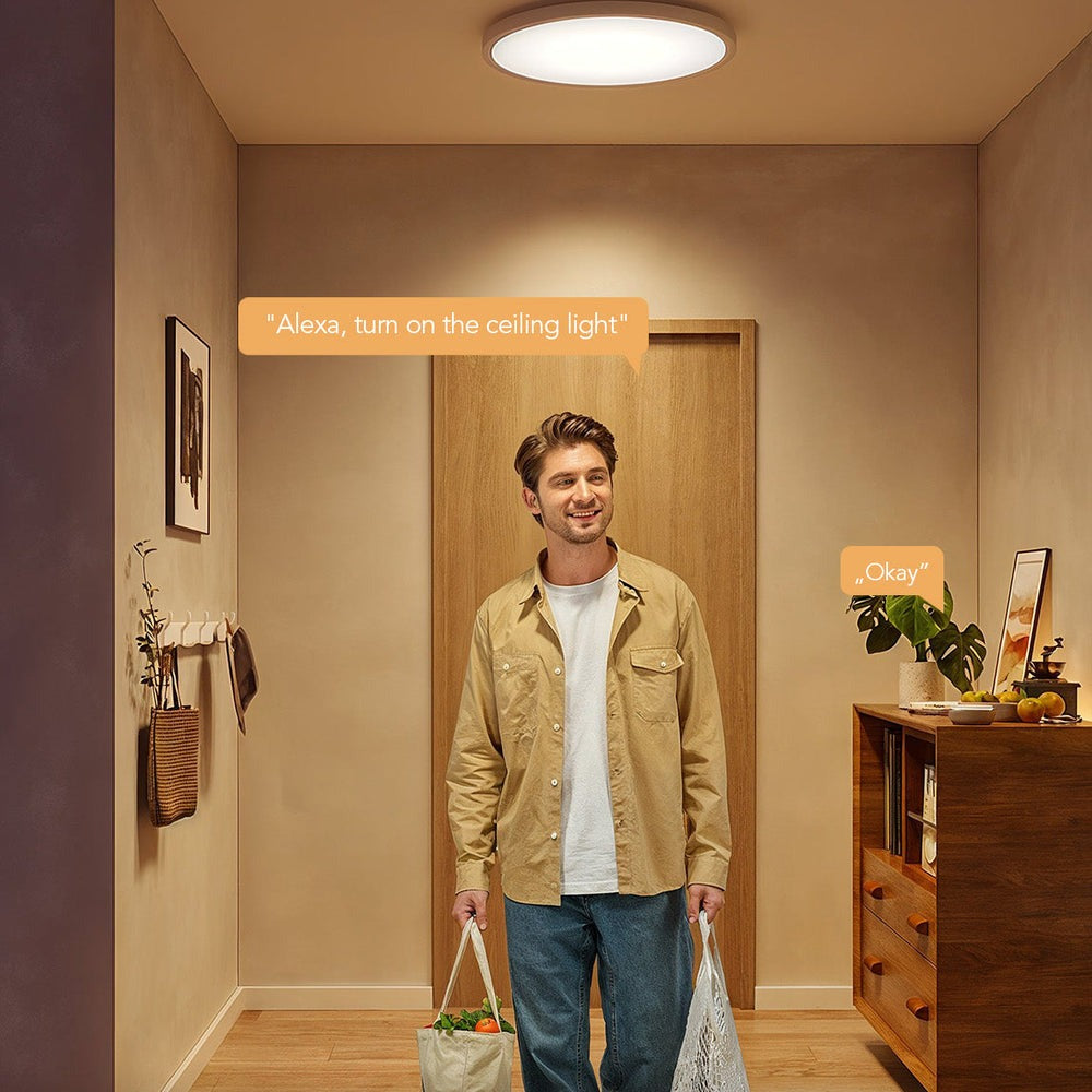 Govee 12-Inch RGBWW + RGBIC Smart Ceiling Light