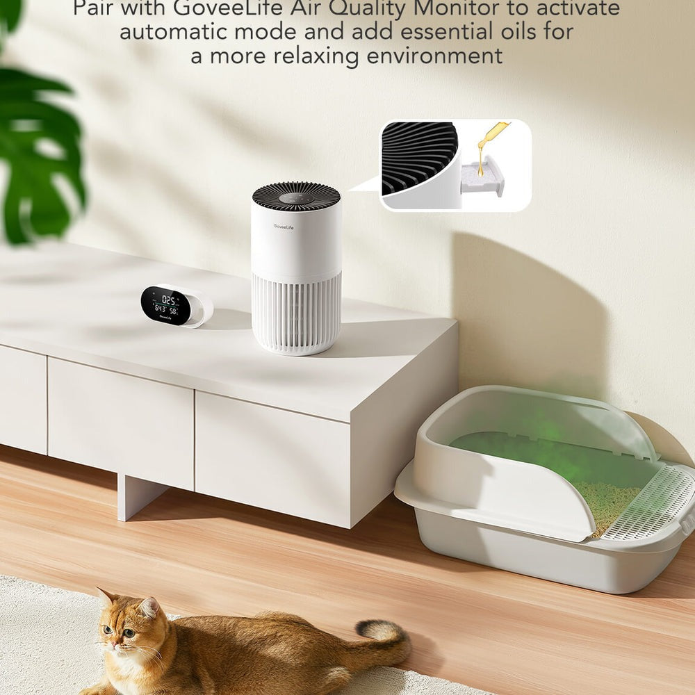 GoveeLife Smart Air Purifier Lite