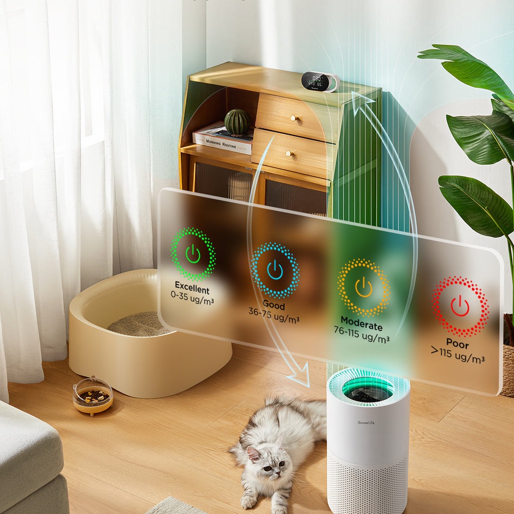 GoveeLife Smart Air Purifier 2 Pro