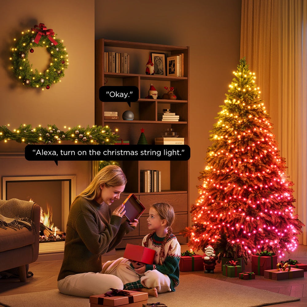 Govee Christmas String Lights 2