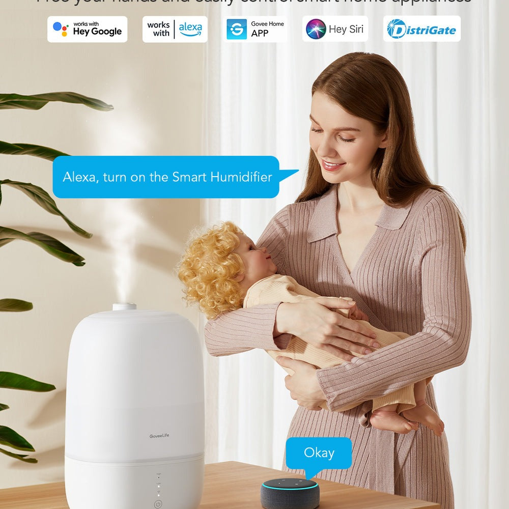 GoveeLife Smart Humidifier Lite
