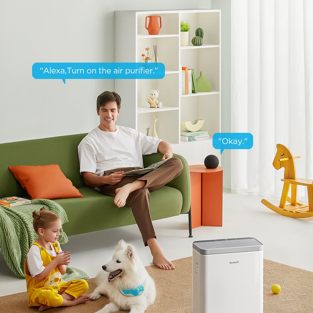 GoveeLife Smart Air Purifier 2