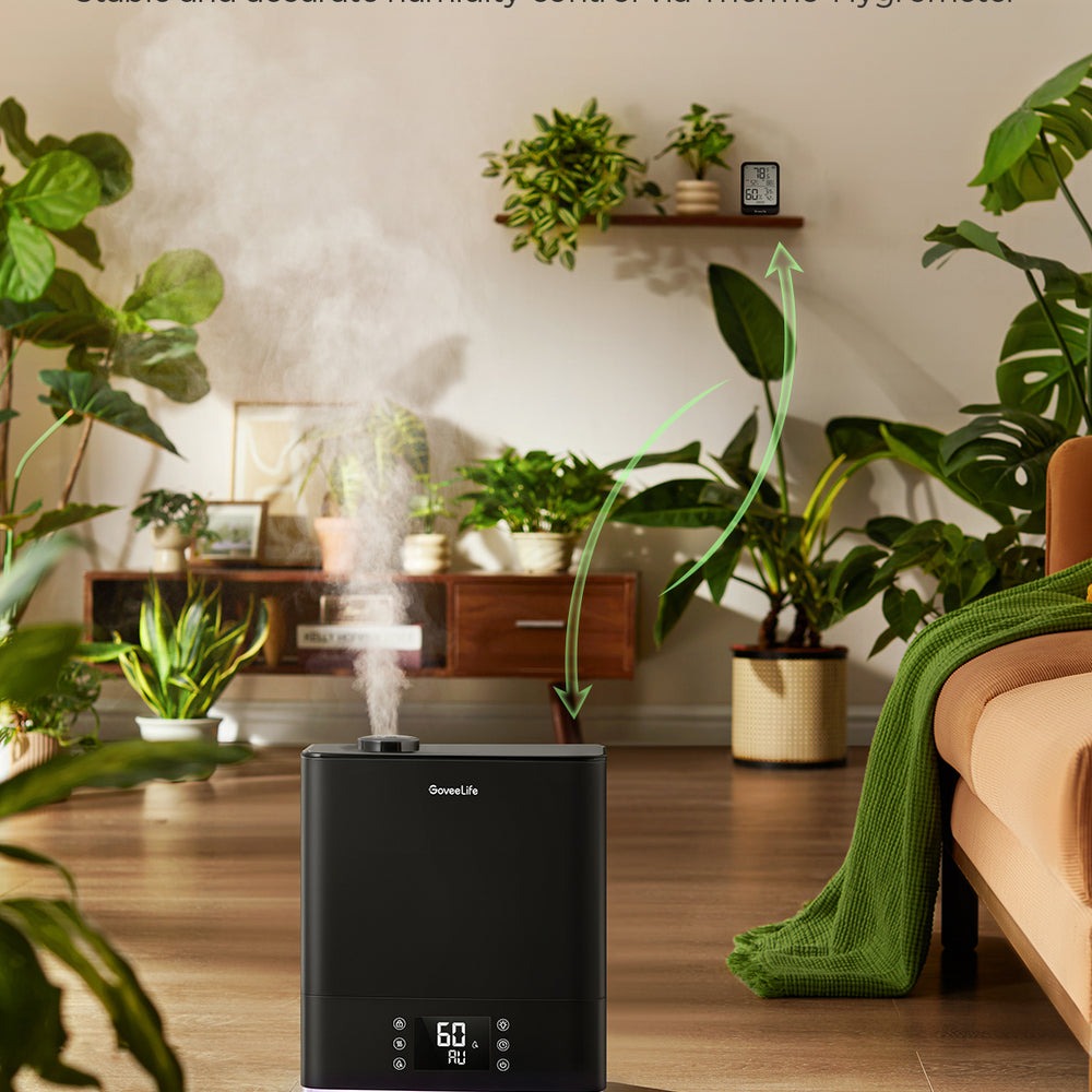 GoveeLife Smart Humidifier 2