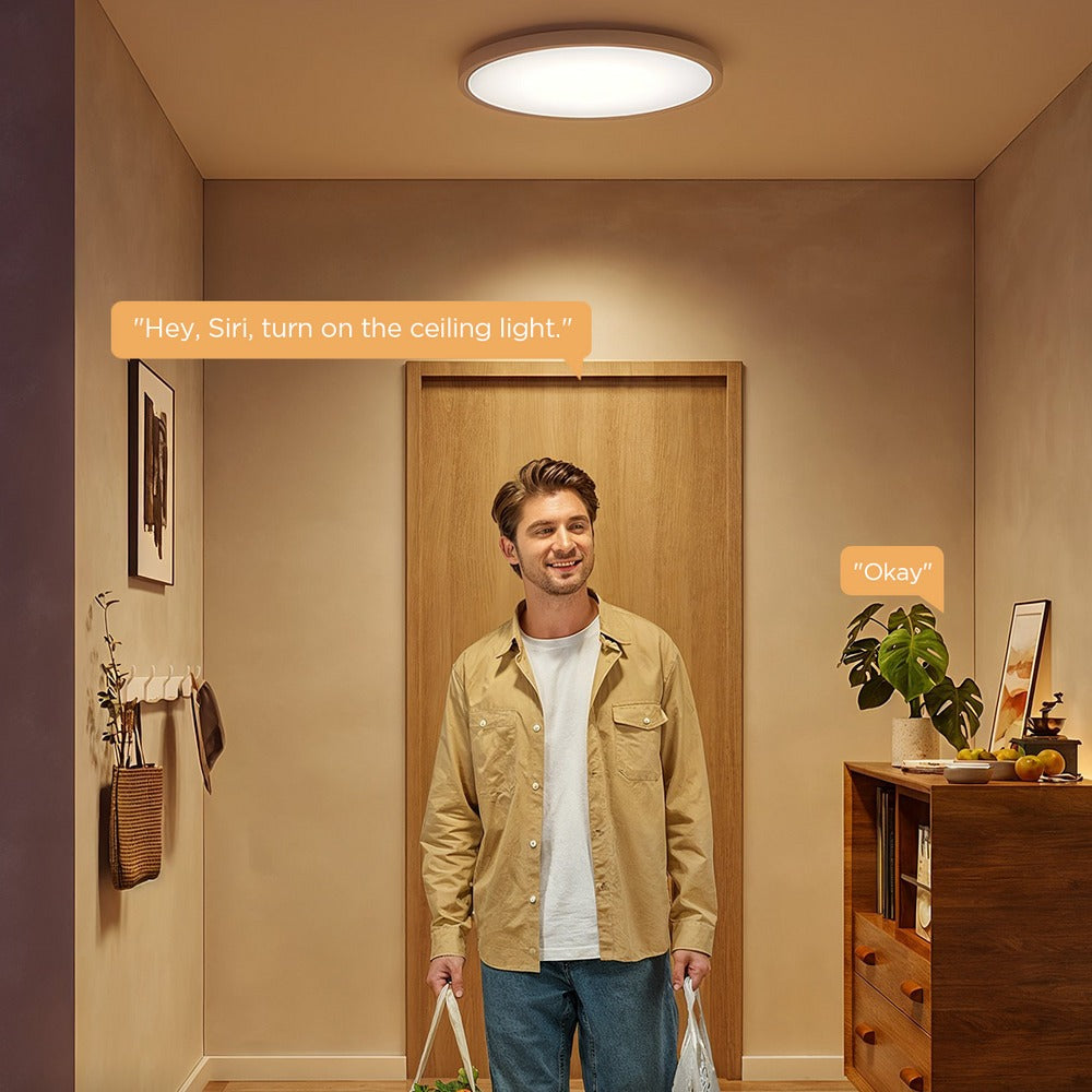 Govee 12-Inch RGBWW + RGBIC Smart Ceiling Light