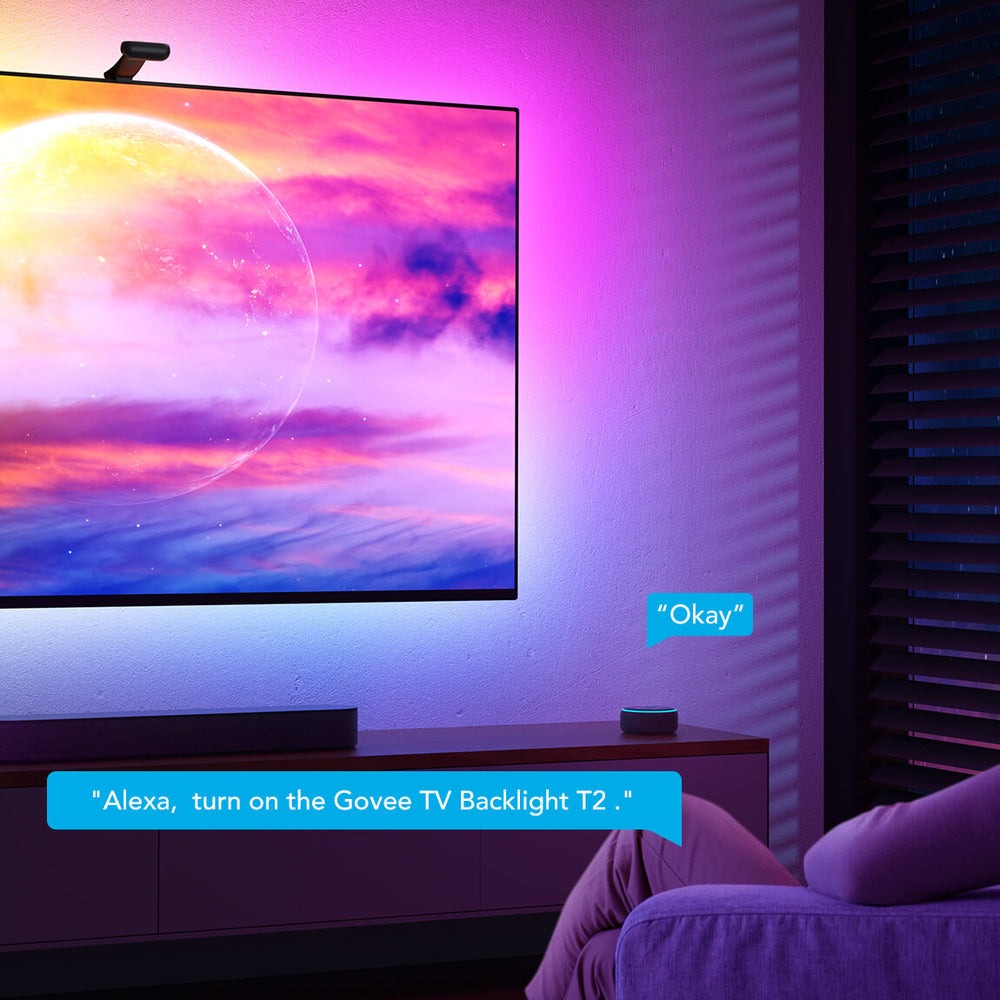 Govee Envisual TV Backlight T2