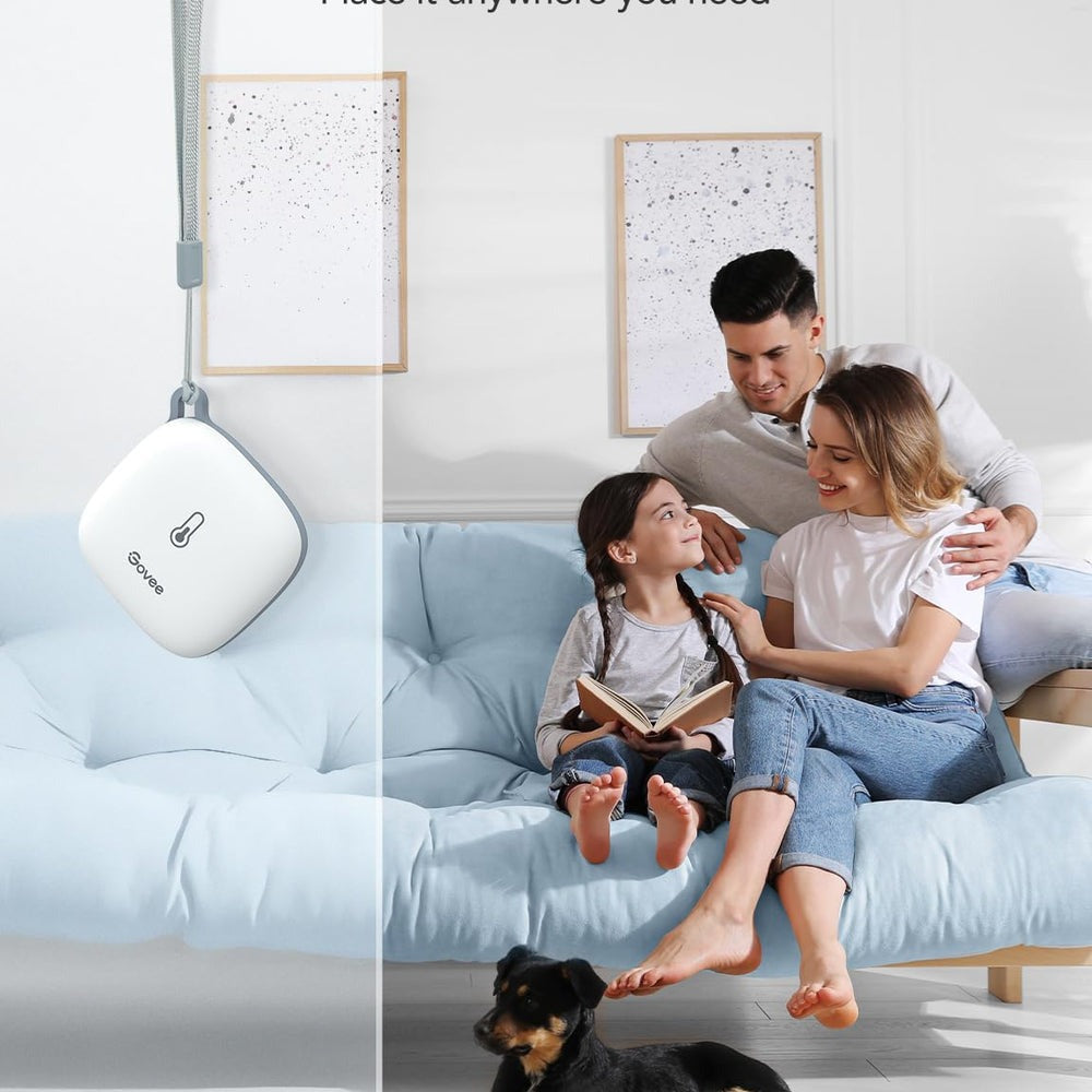Govee Wi-Fi Thermo-Hygrometer