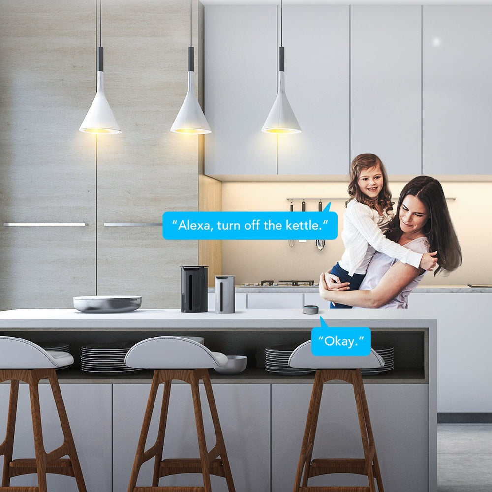 Govee Smart Plug Pro with Energy Monitoring