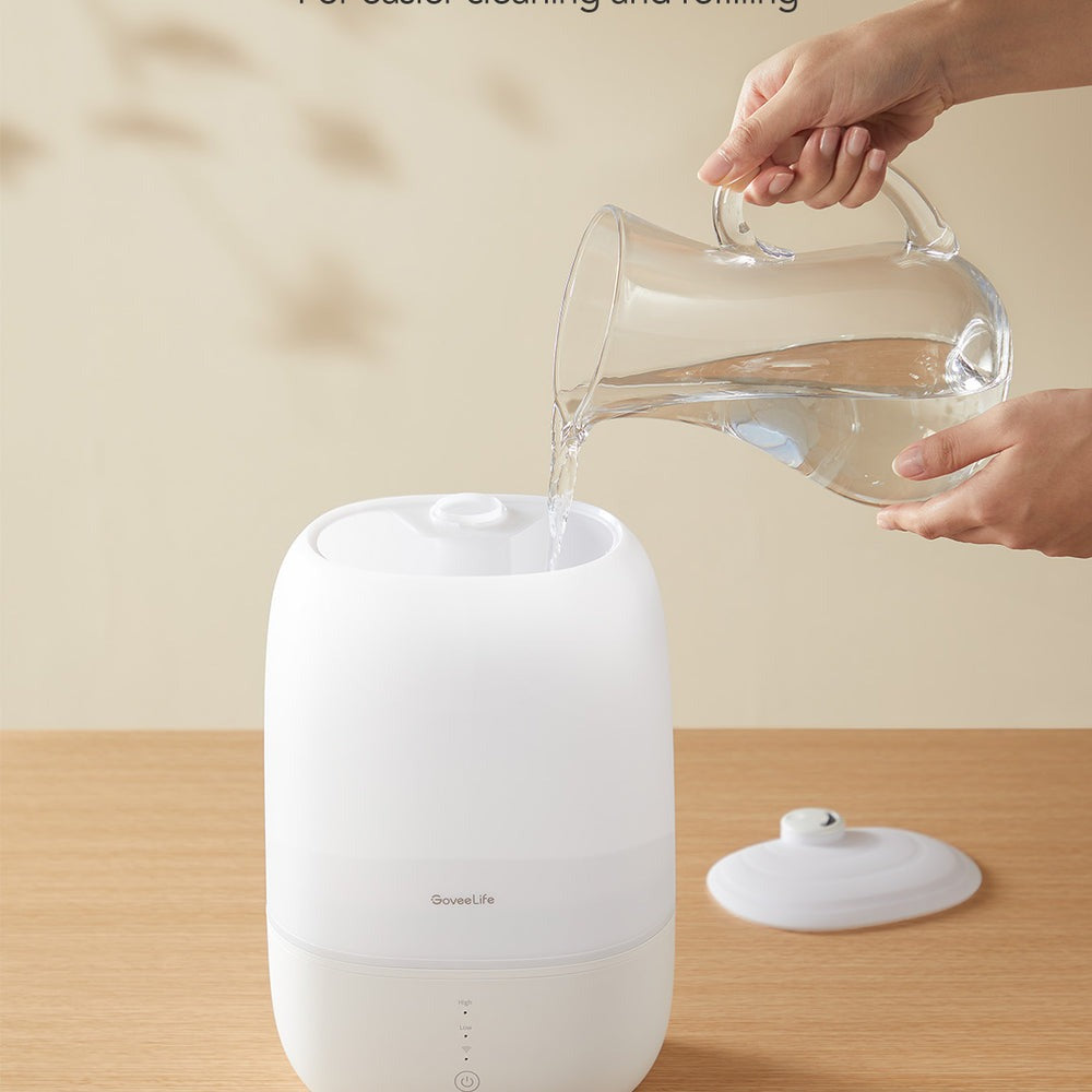 GoveeLife Smart Humidifier Lite