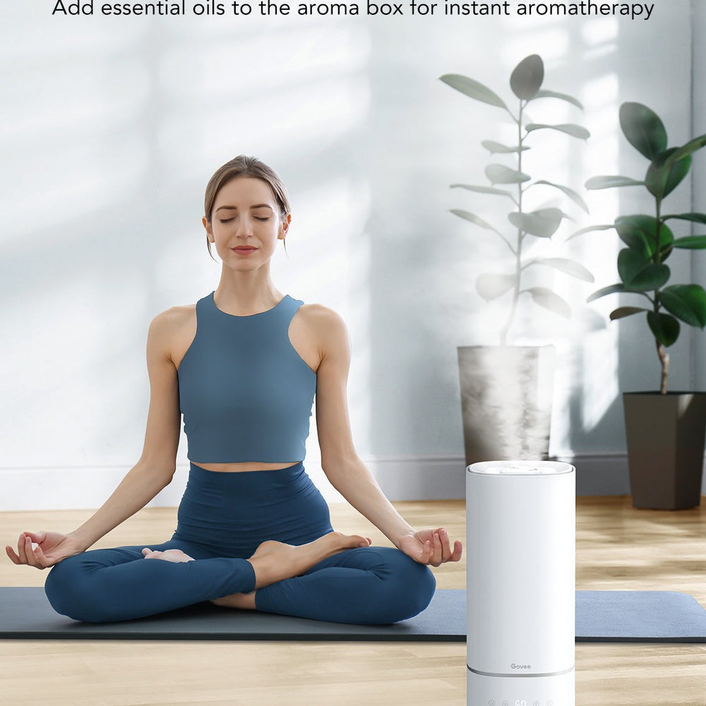 Refurbished Govee Smart Humidifier 6L H7142