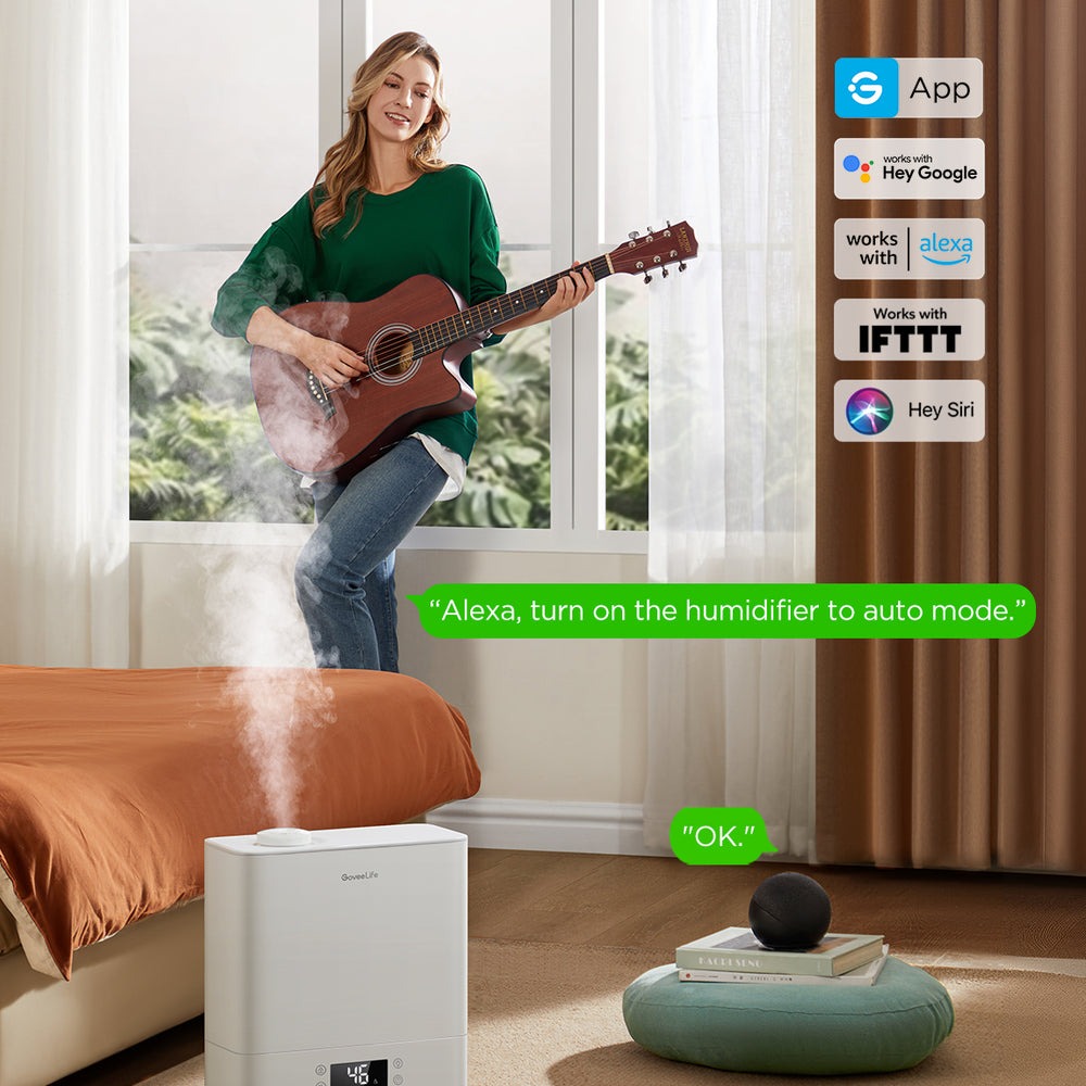 GoveeLife Smart Humidifier 2