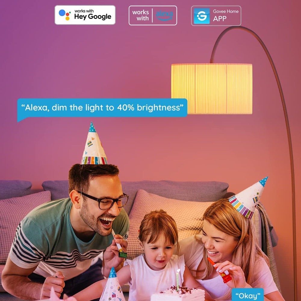 Govee A19 Smart LED Light Bulbs E26 800lm