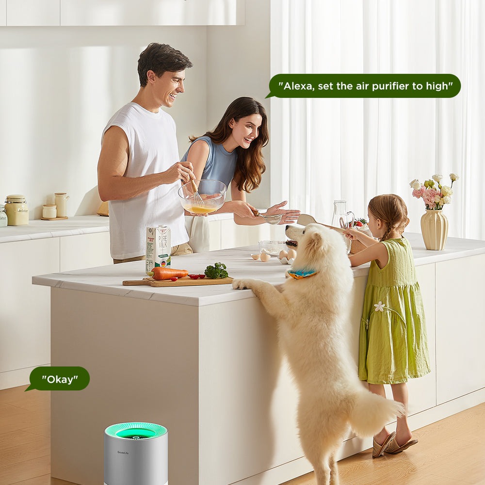 GoveeLife Smart Air Purifier 2 Pro