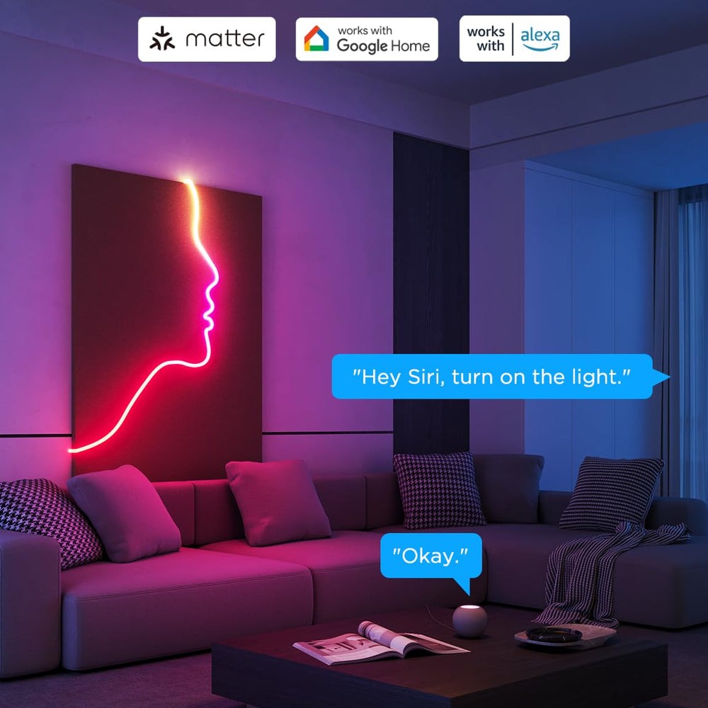 Refurbished Govee Neon Rope Light 2