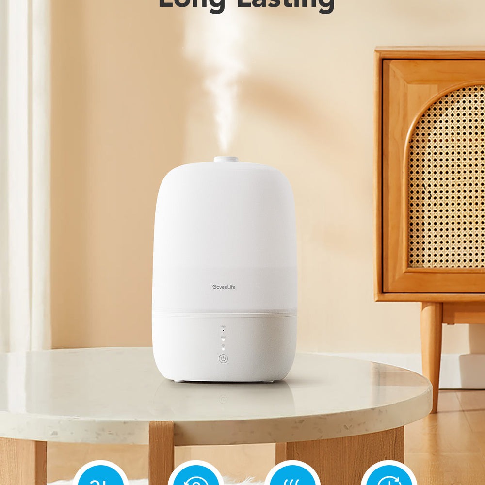 GoveeLife Smart Humidifier Lite