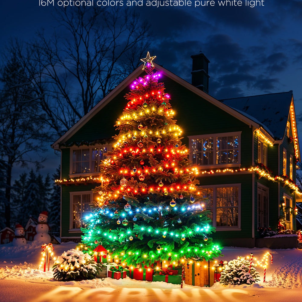 Govee Christmas String Lights 2